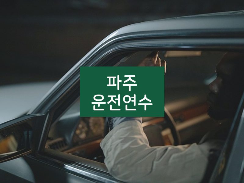 파주운전연수 후기
