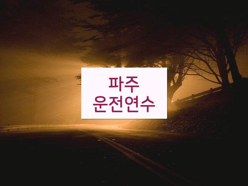 파주운전연수 후기