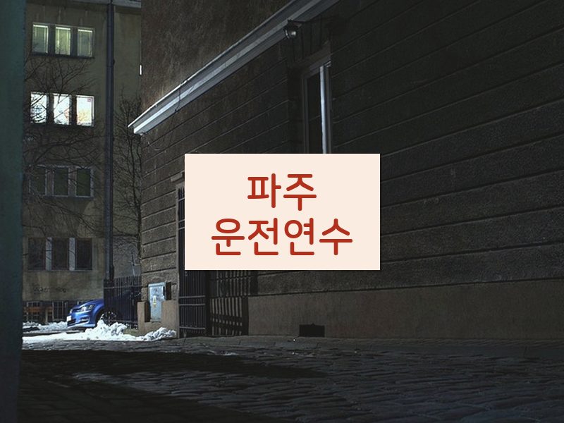 파주운전연수 후기