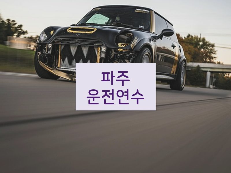 파주운전연수 후기
