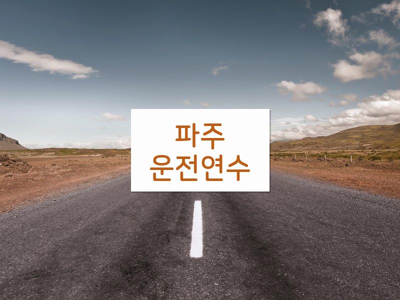 파주운전연수 후기