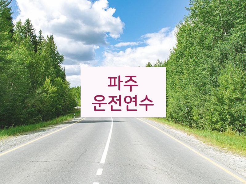 파주운전연수 후기