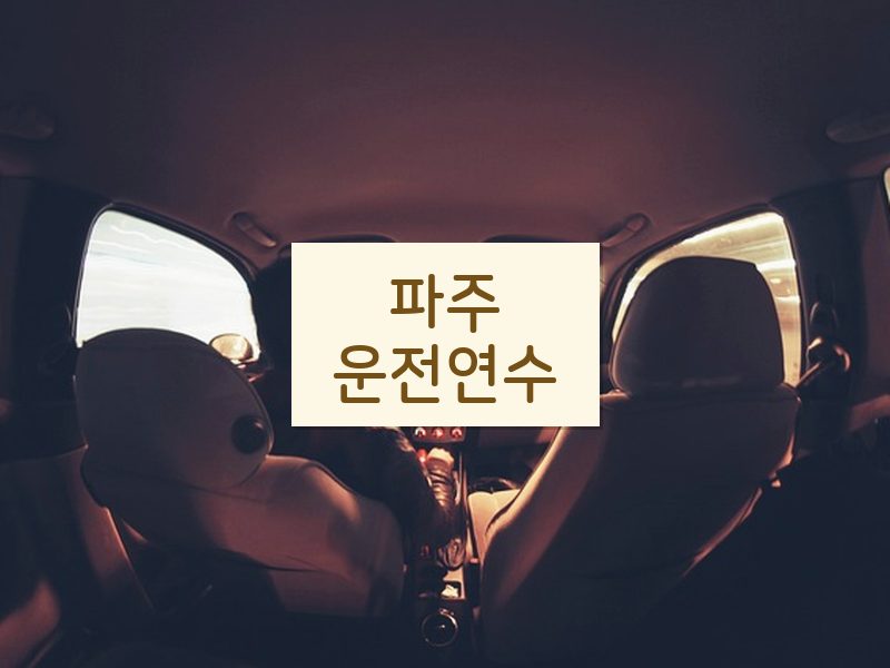 파주운전연수 후기