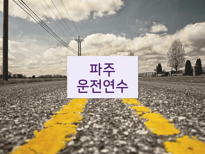 파주운전연수 후기