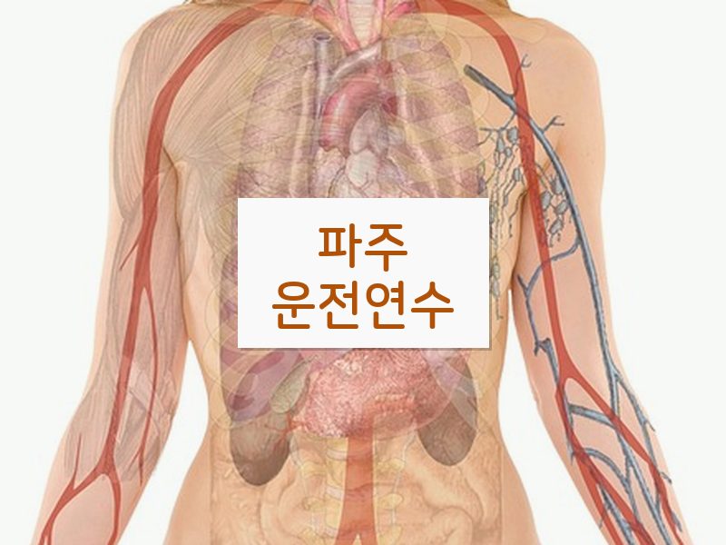 파주운전연수 후기