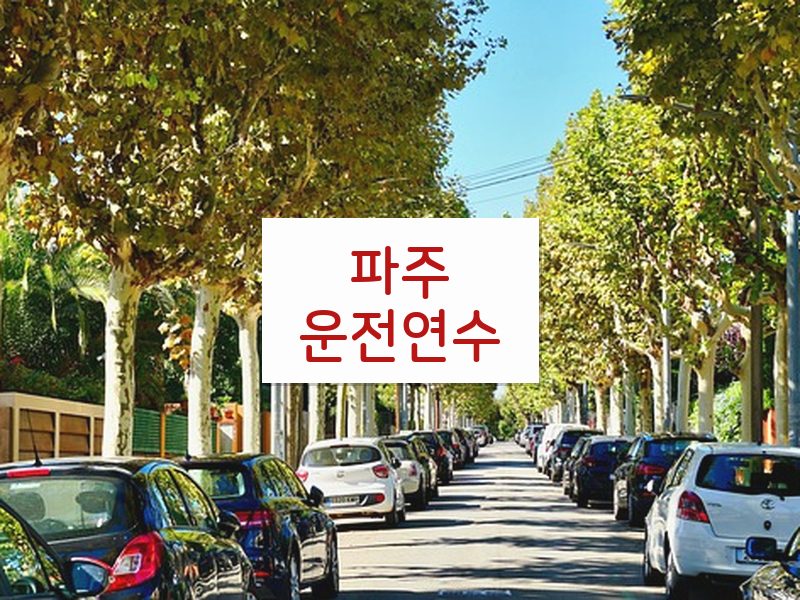 파주운전연수 후기