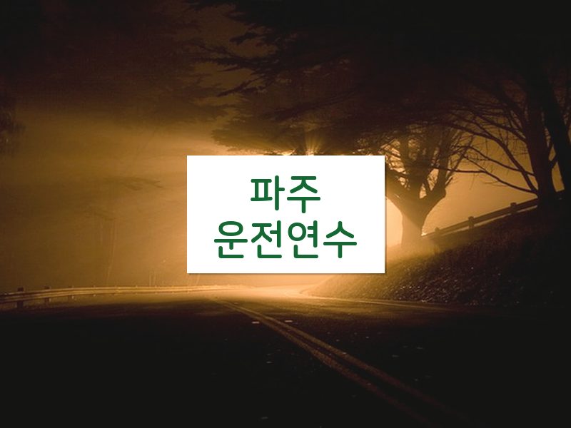 파주운전연수 후기