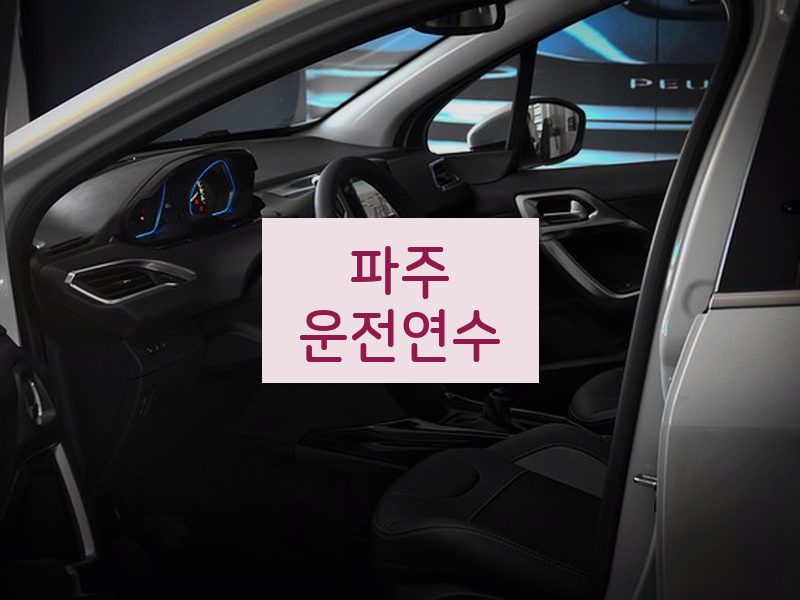 파주운전연수 후기