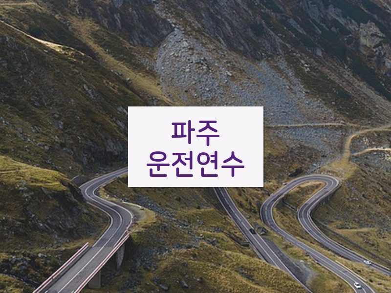 파주운전연수 후기