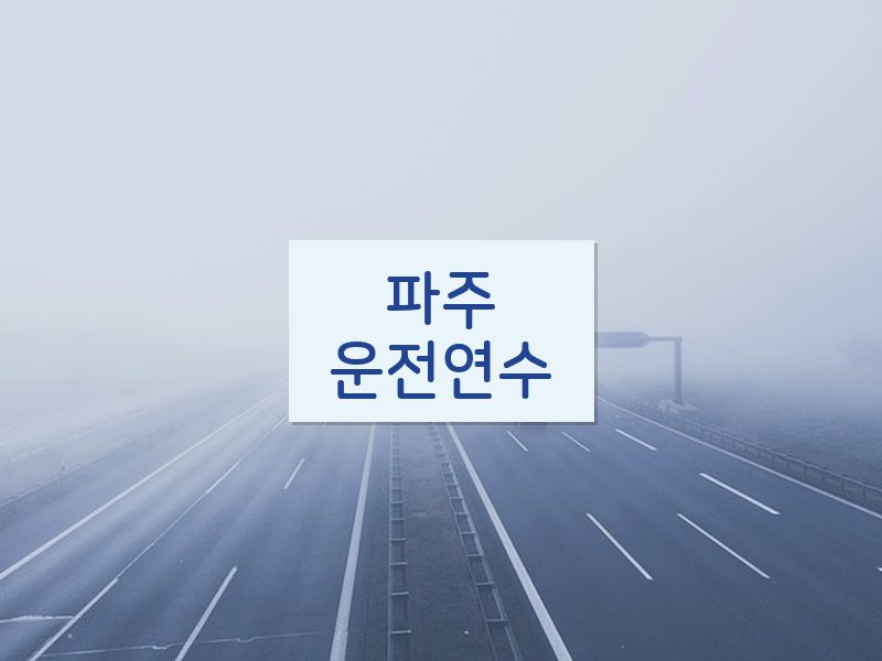 파주운전연수 후기