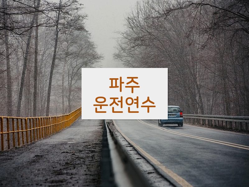 파주운전연수 후기