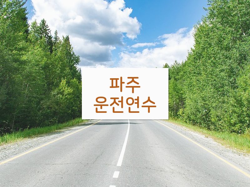 파주운전연수 후기