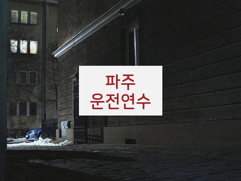 파주운전연수 후기