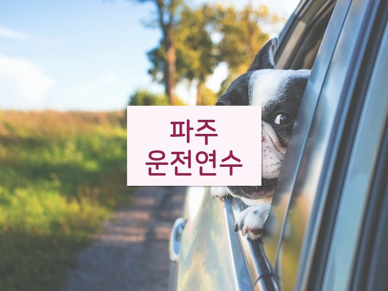 파주운전연수 후기