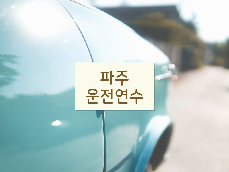파주운전연수 후기