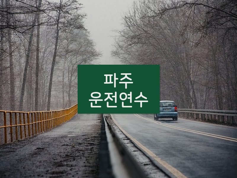 파주운전연수 후기