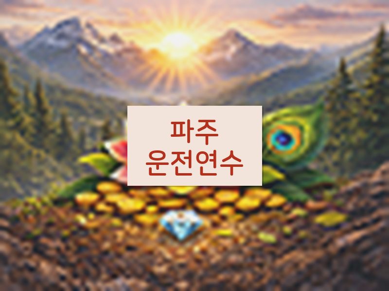 파주운전연수 후기