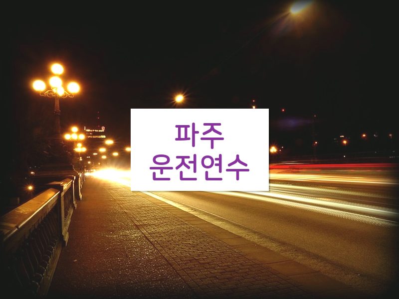 파주운전연수 후기