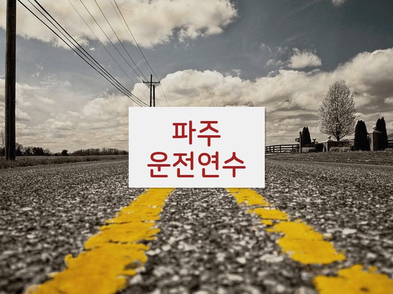 파주운전연수 후기