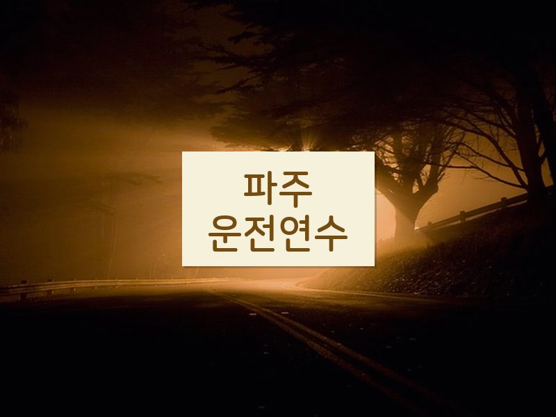 파주운전연수 후기