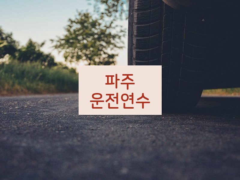 파주운전연수 후기