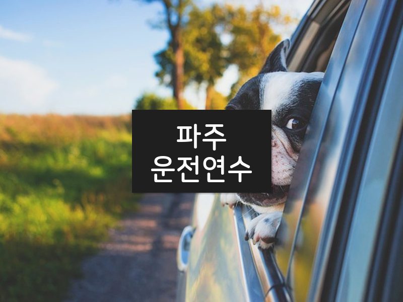 파주운전연수 후기