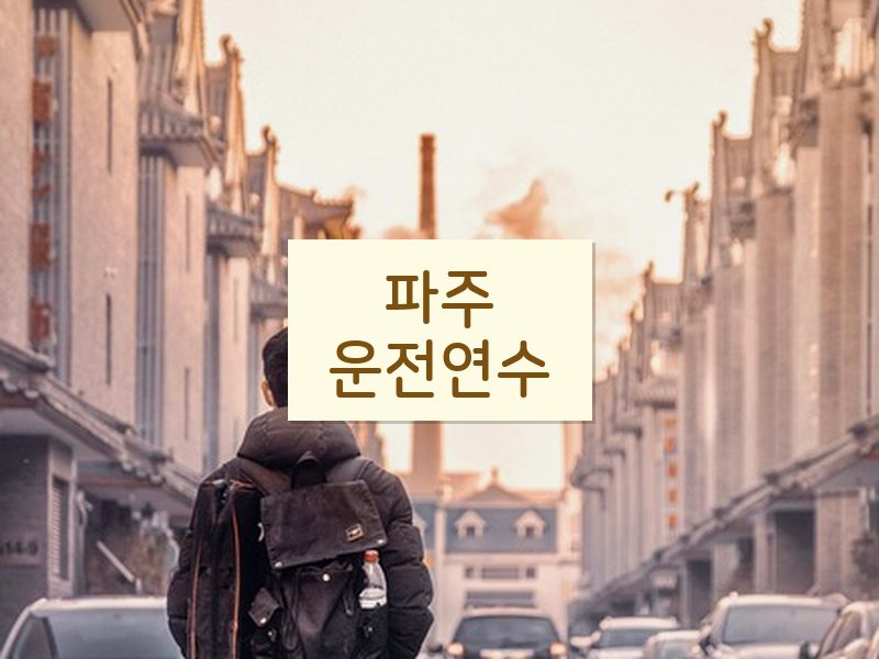 파주운전연수 후기