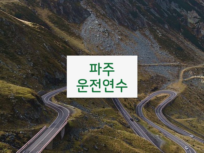 파주운전연수 후기