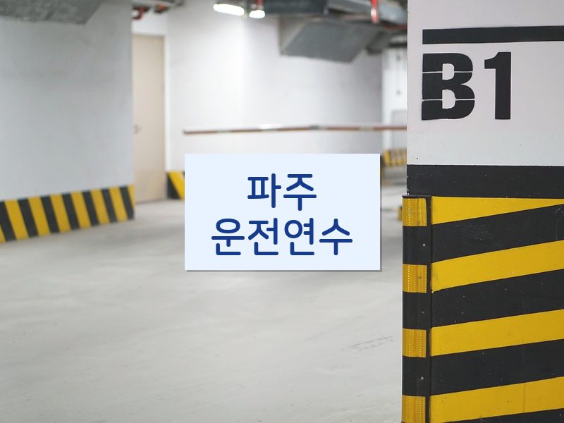 파주운전연수 후기