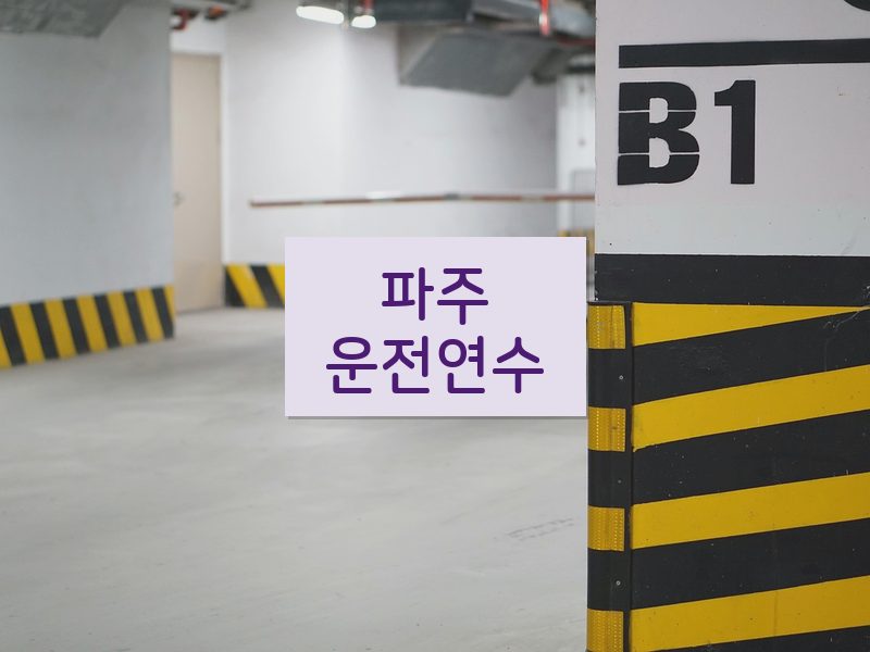 파주운전연수 후기