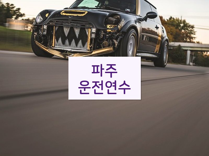 파주운전연수 후기