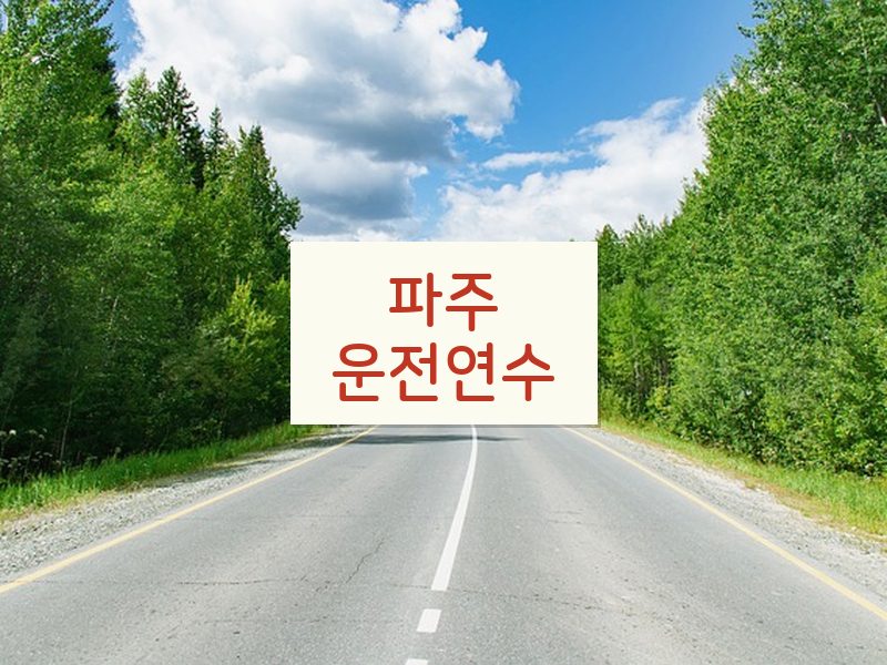 파주운전연수 후기