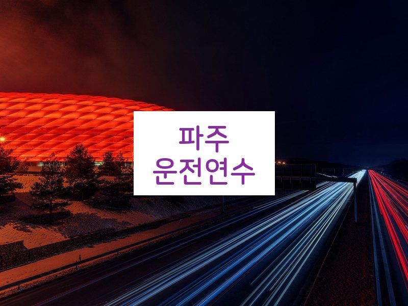 파주운전연수 후기