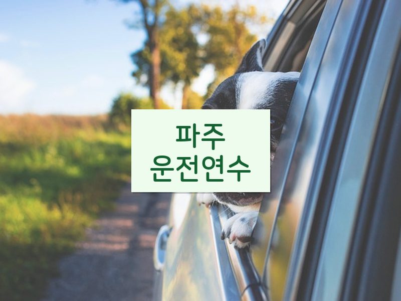파주운전연수 후기