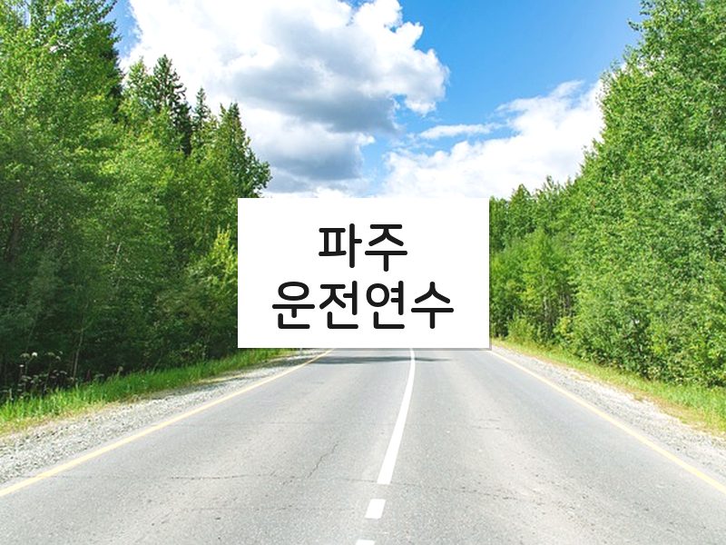 파주운전연수 후기