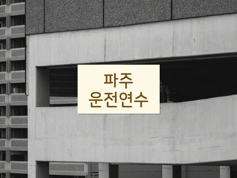 파주운전연수 후기
