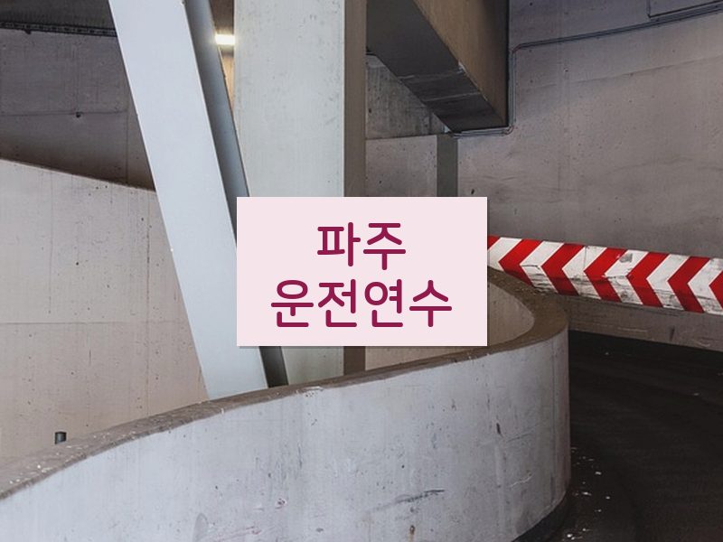 파주운전연수 후기
