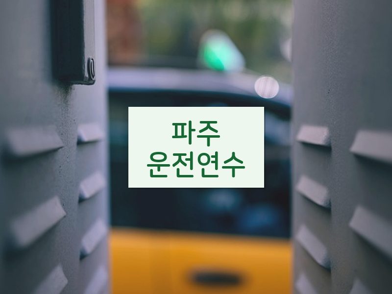 파주운전연수 후기