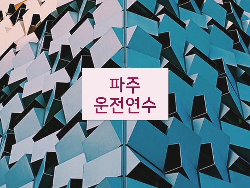 파주운전연수 후기
