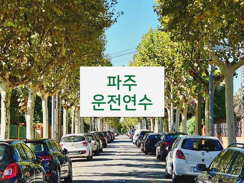 파주운전연수 후기