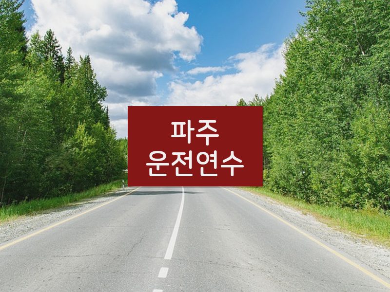 파주운전연수 후기