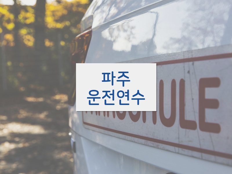 파주운전연수 후기