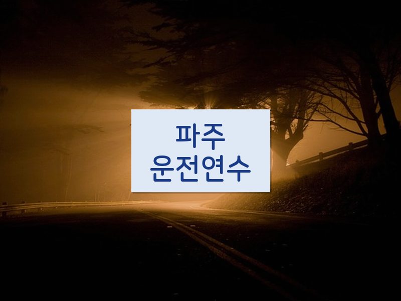 파주운전연수 후기