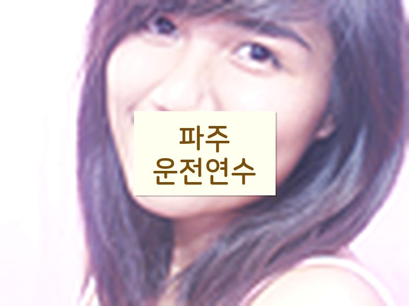 파주운전연수 후기