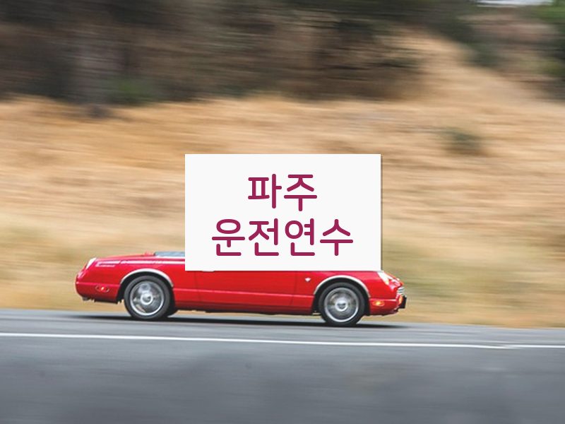 파주운전연수 후기