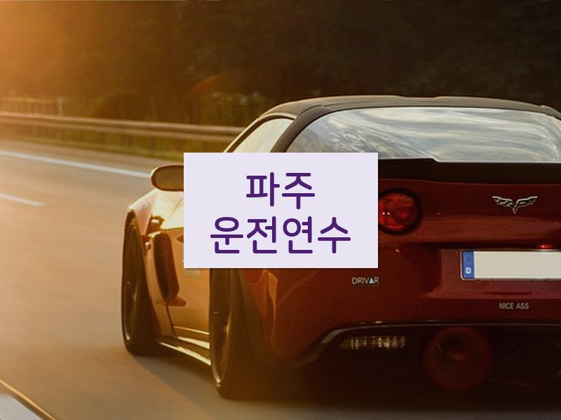 파주운전연수 후기