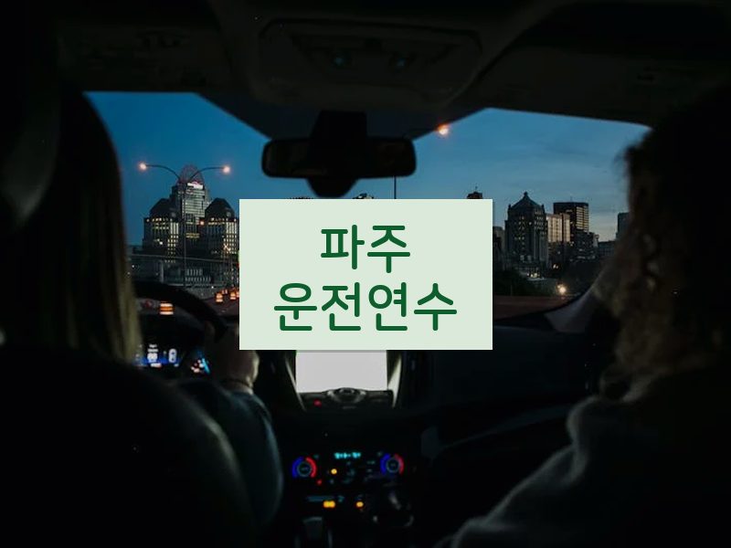 파주운전연수 후기