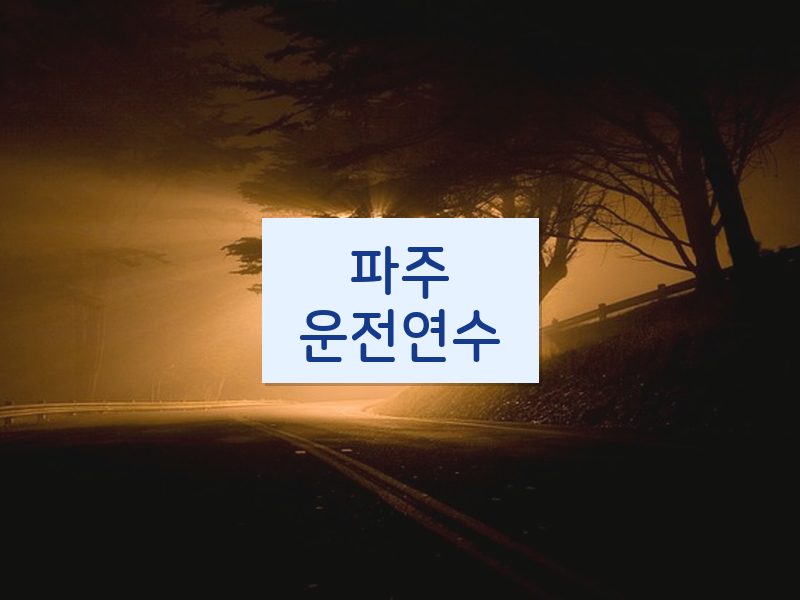 파주운전연수 후기