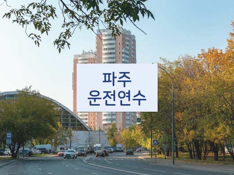파주운전연수 후기