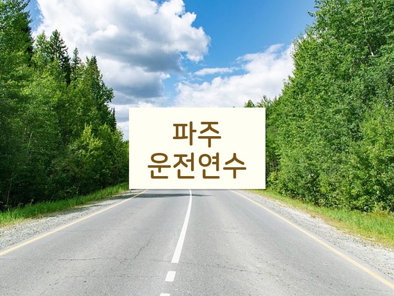 파주운전연수 후기